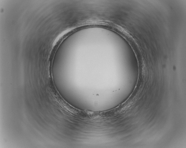 X0000070871222200607150113