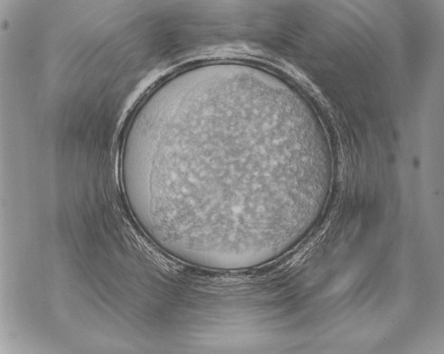 X0000070871224200607150113