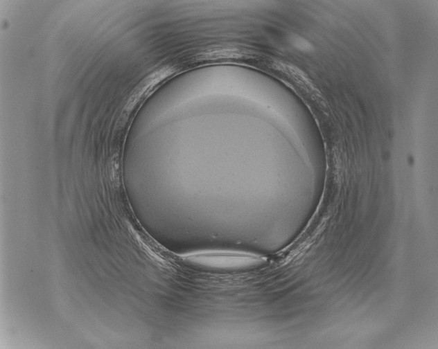 X0000070871225200607150113