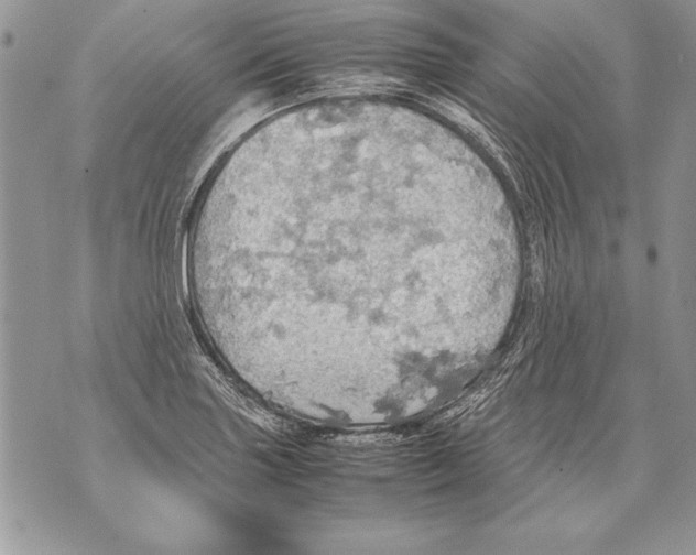 X0000070871227200607150113