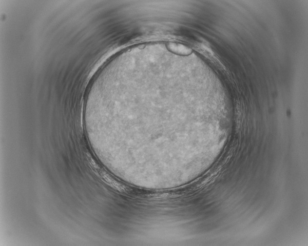 X0000070871228200607150113