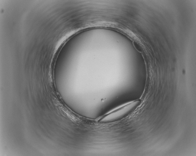 X0000070871230200607150113