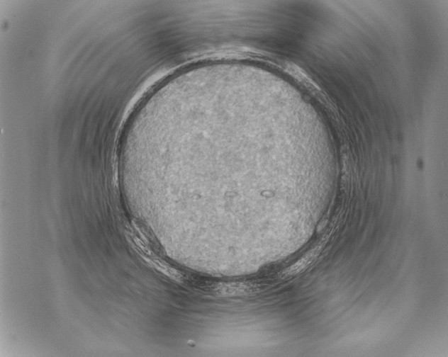 X0000070871232200607150113