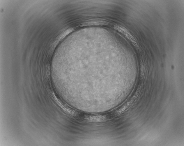 X0000070871233200607150113