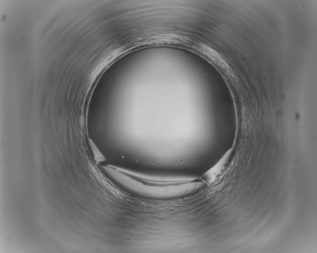 X0000070871234200607150113