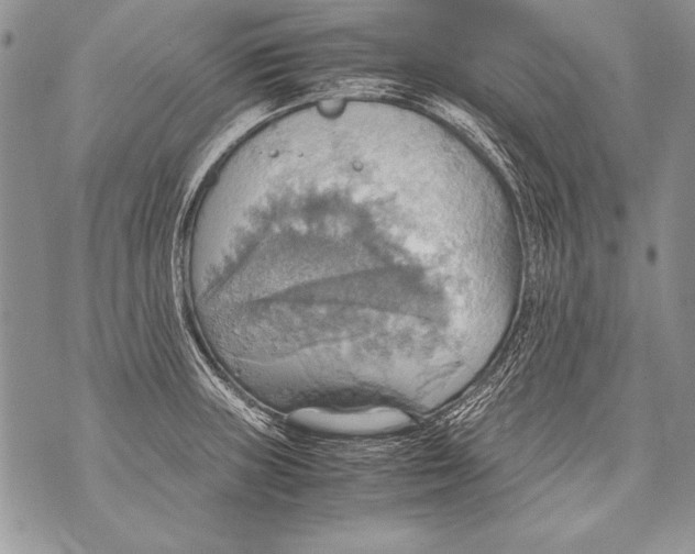 X0000070871235200607150113