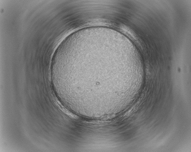 X0000070871236200607150113