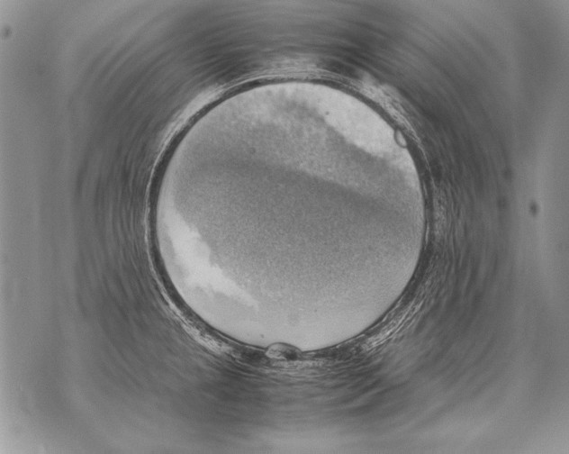 X0000070871237200607150113