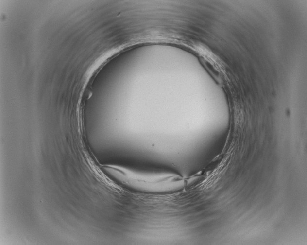 X0000070871238200607150113