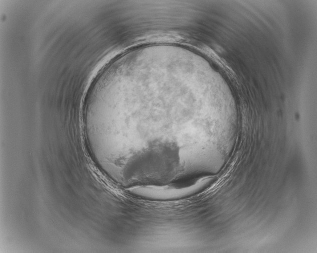 X0000070871240200607150113