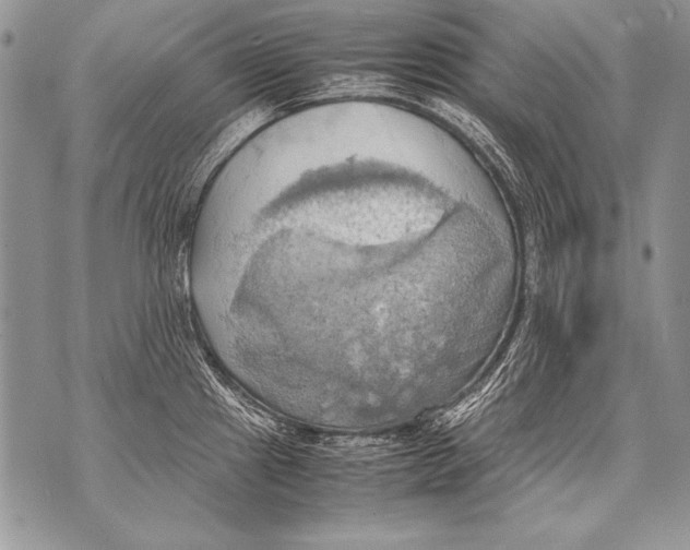 X0000070871241200607150113