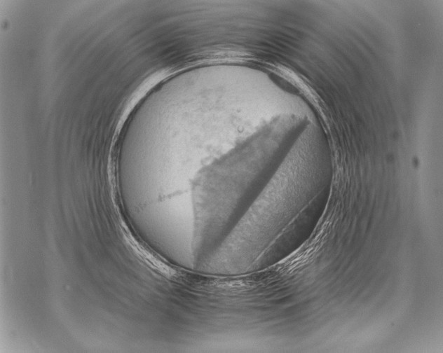 X0000070871243200607150113