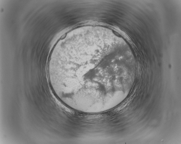 X0000070871247200607150113