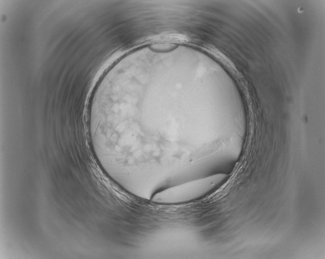 X0000070871248200607150113