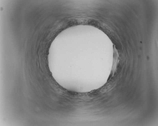 X0000070871249200607150112