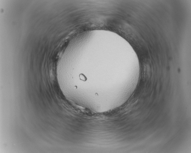 X0000070871250200607150112