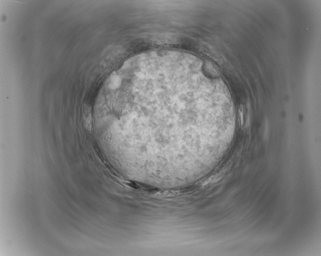 X0000070871251200607150112