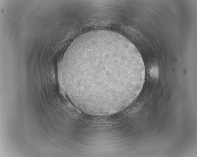 X0000070871252200607150112