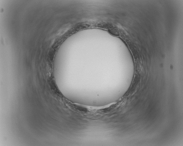 X0000070871253200607150112