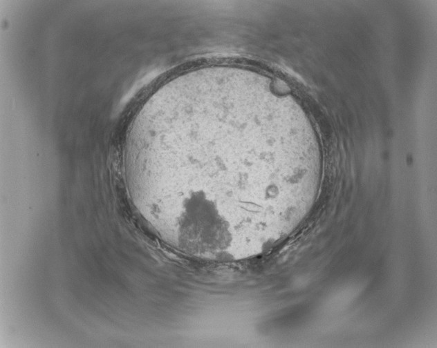 X0000070871255200607150112