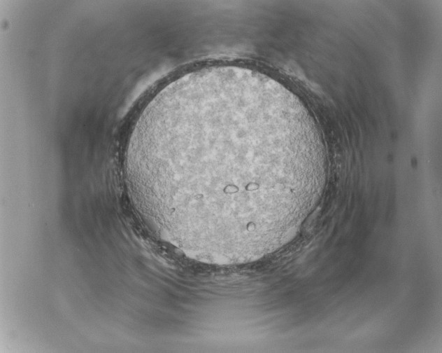 X0000070871256200607150112