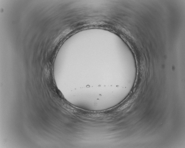 X0000070871257200607150112