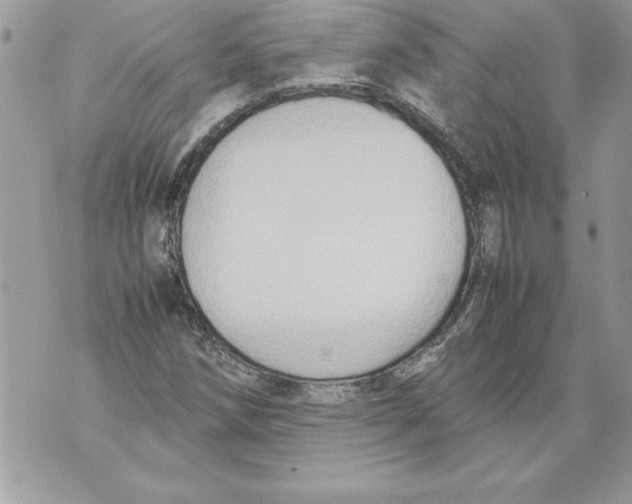 X0000070871258200607150112