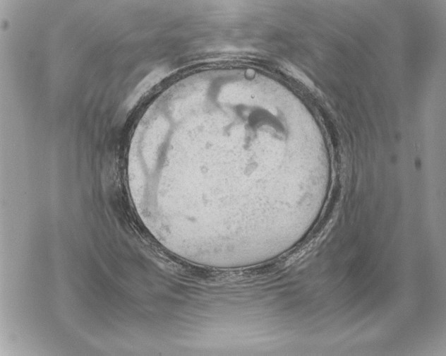 X0000070871259200607150112