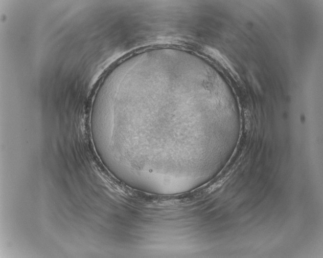 X0000070871260200607150112