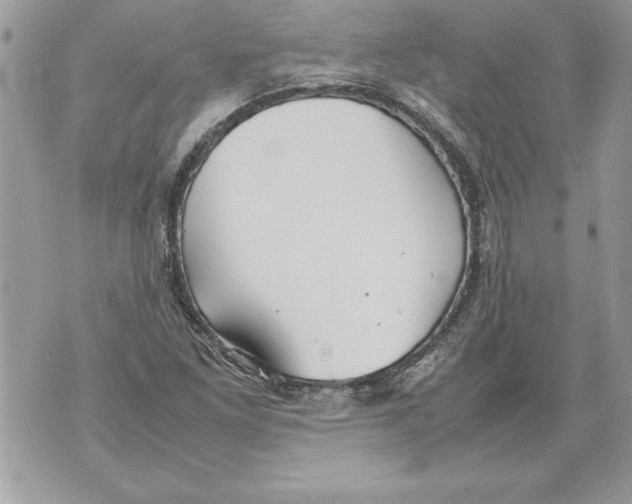 X0000070871261200607150112