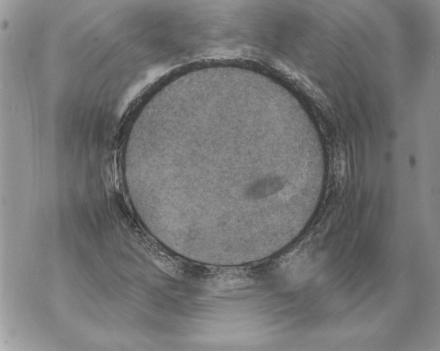 X0000070871262200607150112