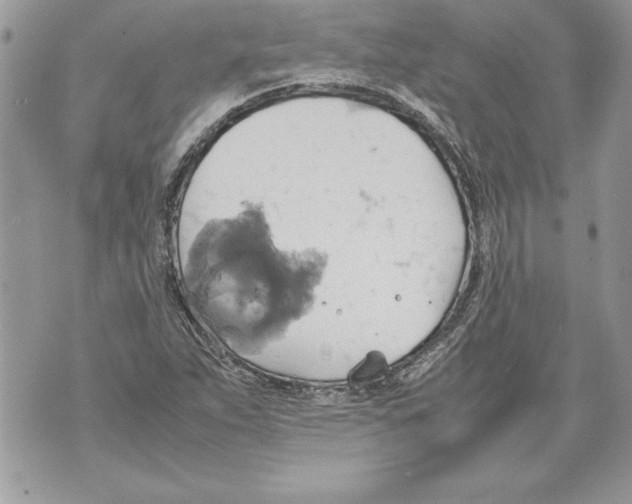 X0000070871263200607150112