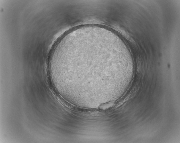 X0000070871264200607150112