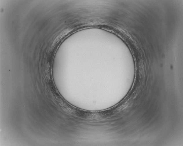 X0000070871265200607150112