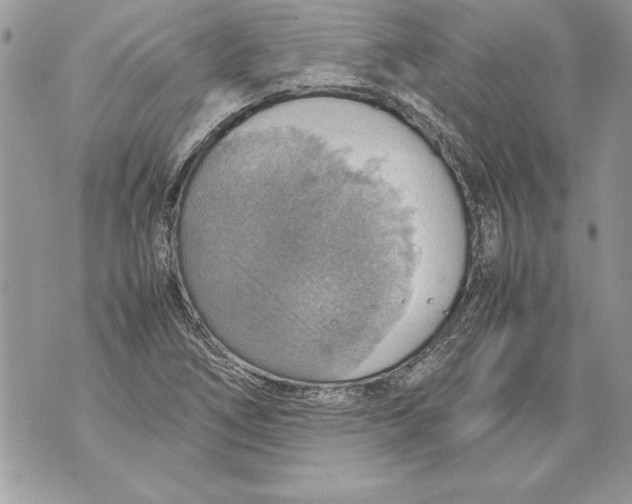 X0000070871266200607150112