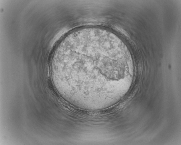 X0000070871267200607150112