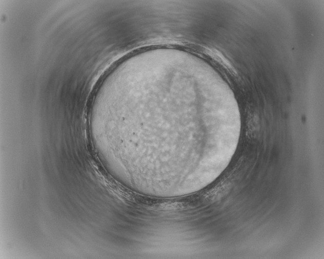 X0000070871268200607150112