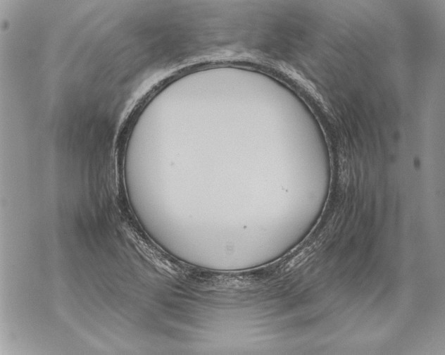 X0000070871270200607150112