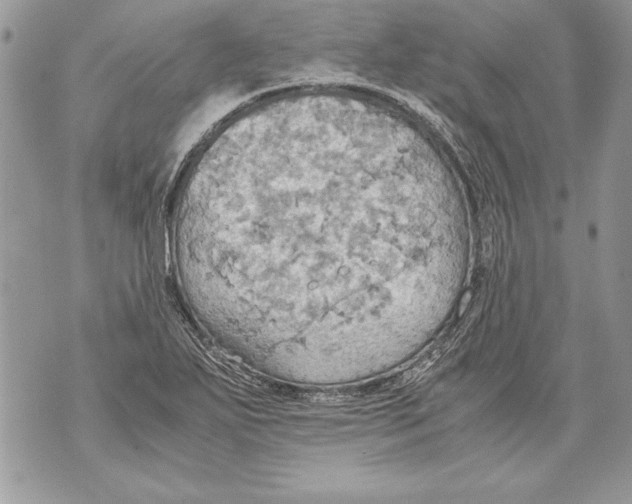 X0000070871271200607150112