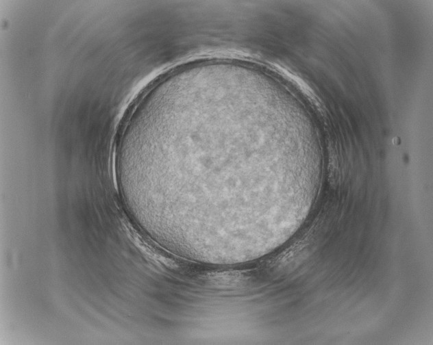 X0000070871272200607150112