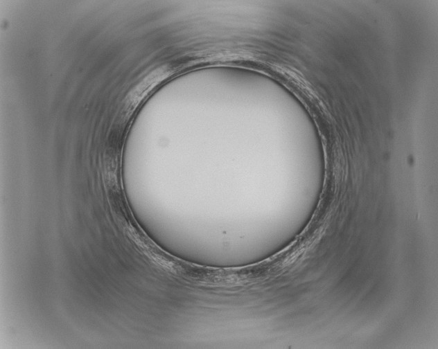 X0000070871273200607150112