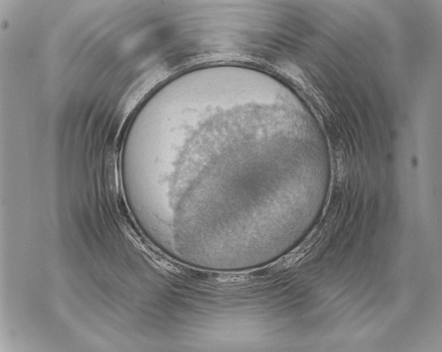 X0000070871274200607150112