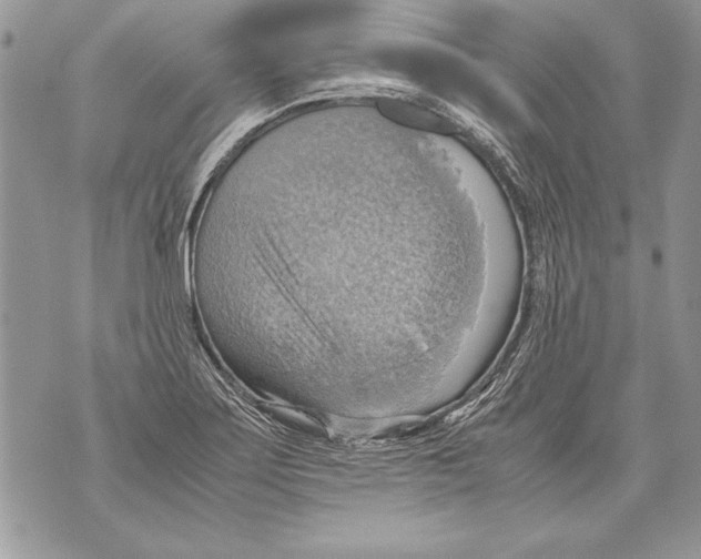 X0000070871275200607150112