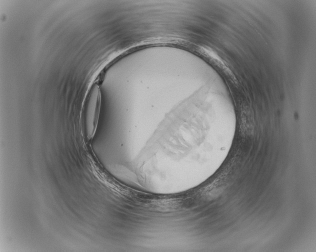 X0000070871276200607150112