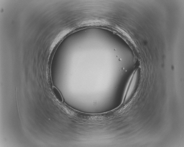 X0000070871277200607150112