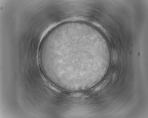 X0000070871278200607150112