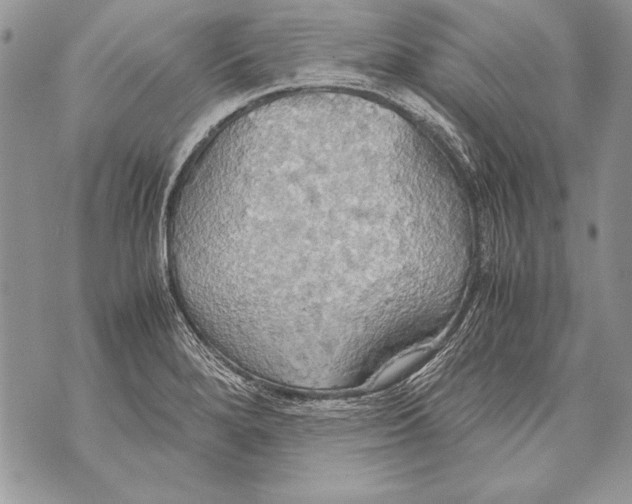 X0000070871280200607150112