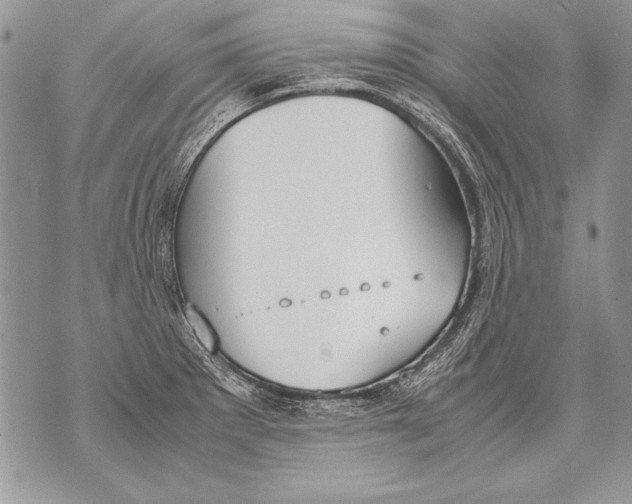 X0000070871281200607150112