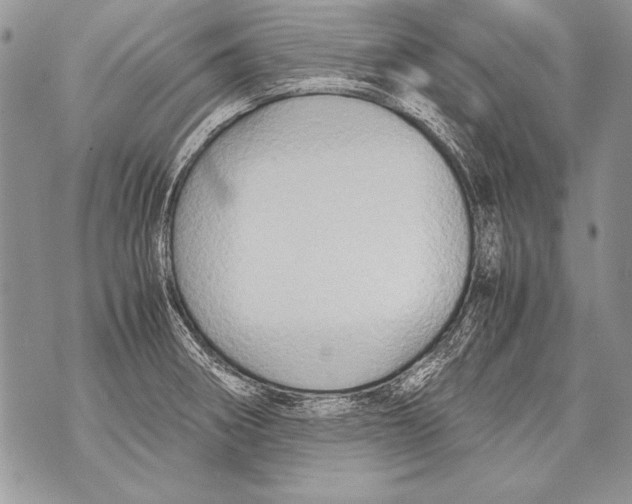 X0000070871282200607150112