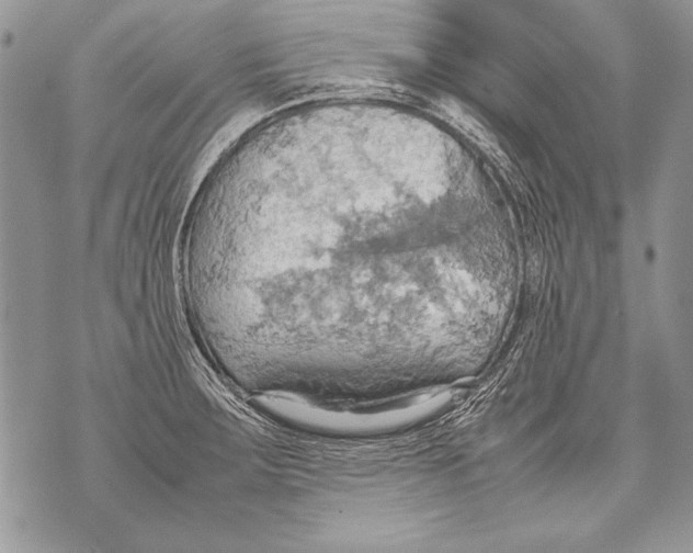 X0000070871283200607150112